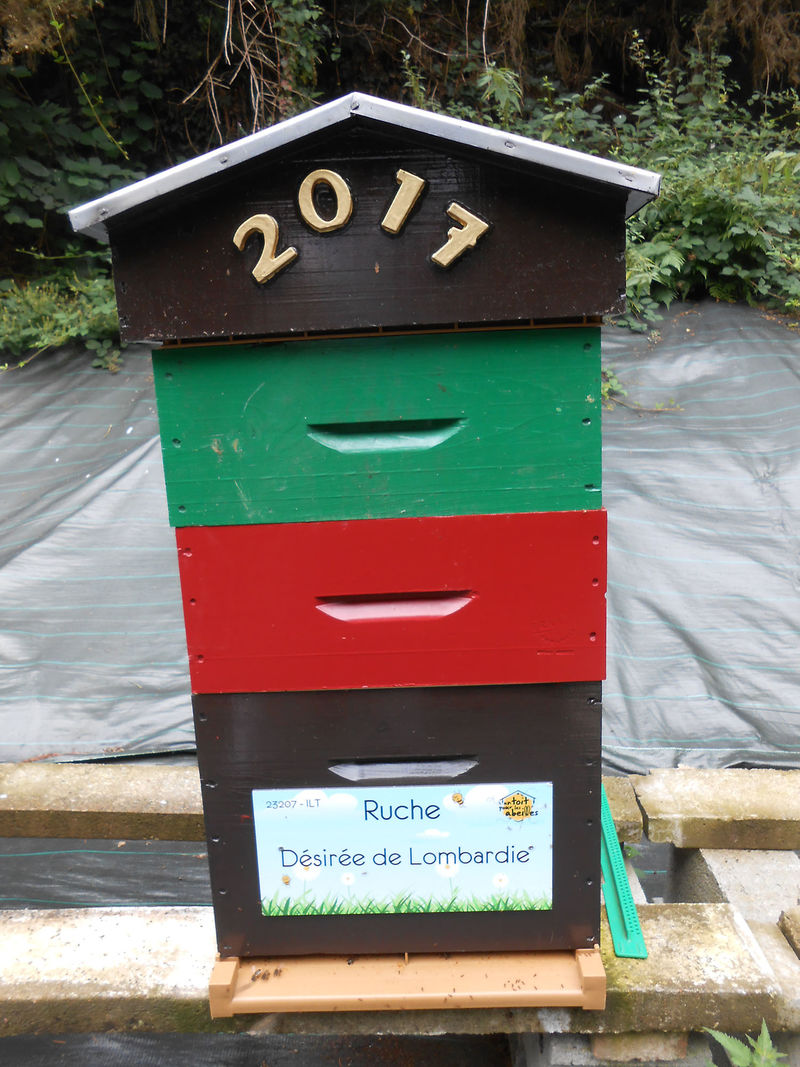 La ruche Désirée de Lombardie