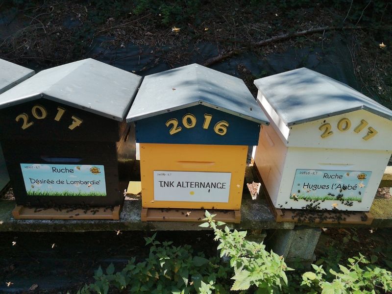 La ruche Désirée de Lombardie