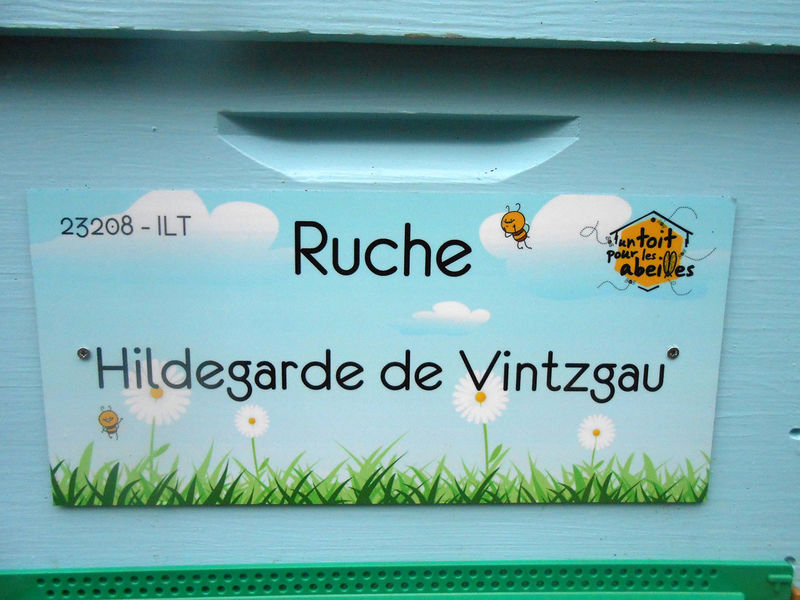 La ruche Hildegarde de Vintzgau