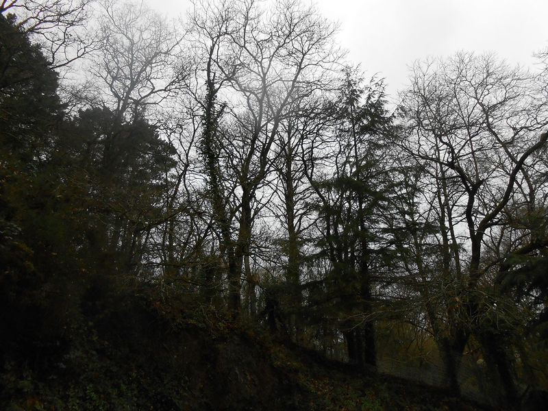 La ruche Hildegarde de Vintzgau