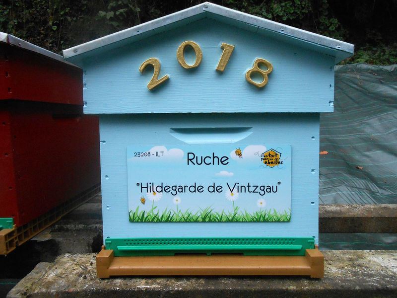 La ruche Hildegarde de Vintzgau