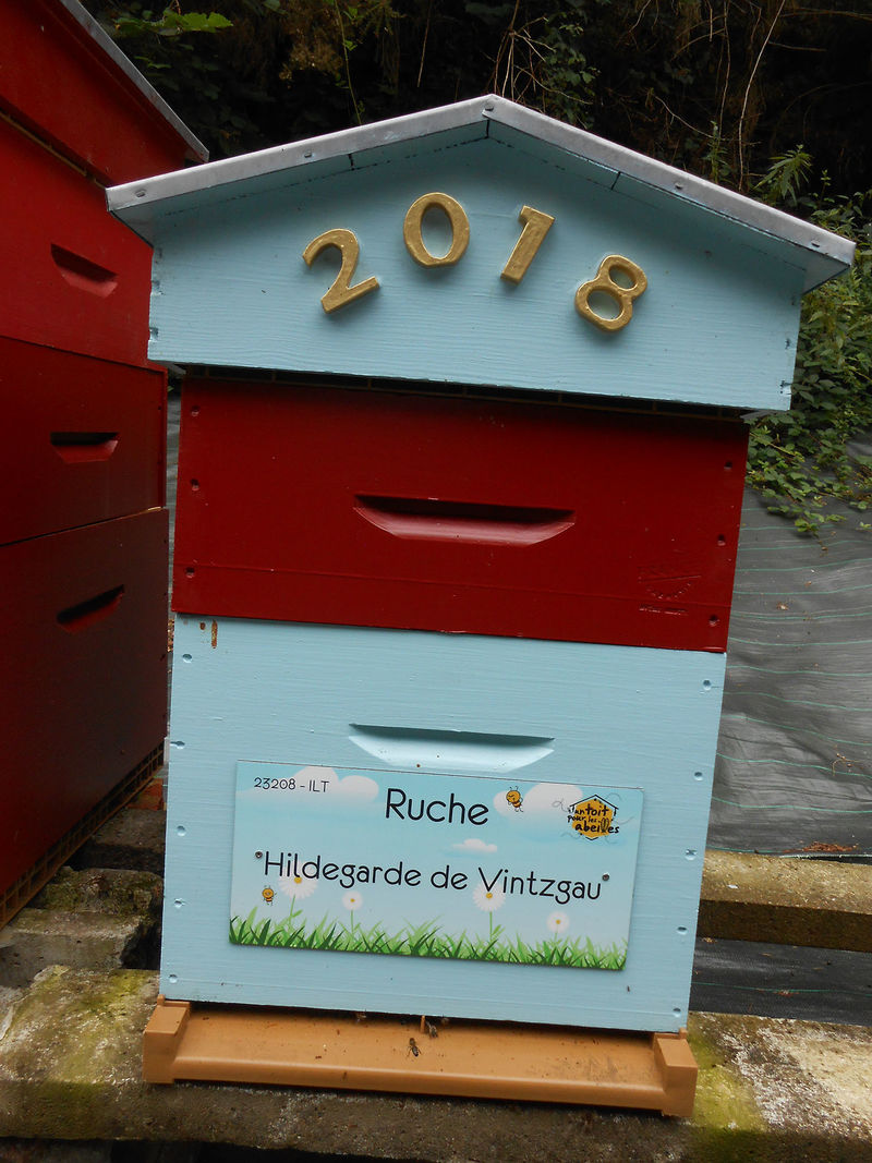 La ruche Hildegarde de Vintzgau
