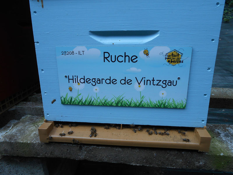 La ruche Hildegarde de Vintzgau