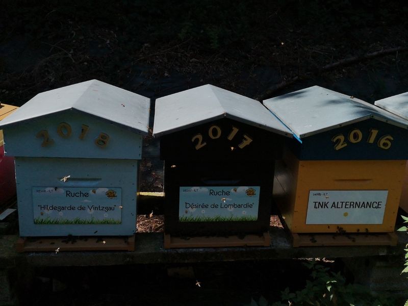 La ruche Hildegarde de Vintzgau