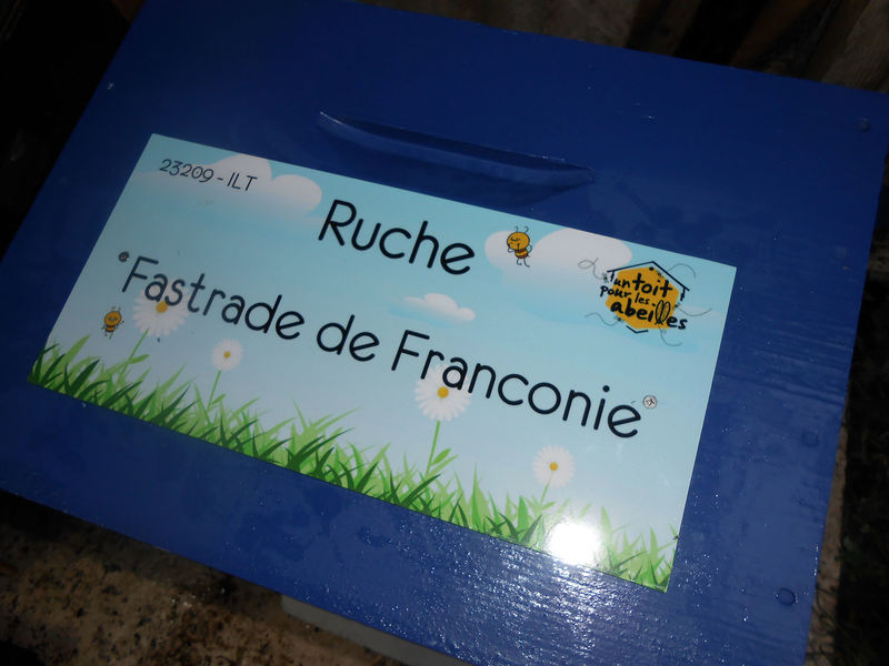 La ruche