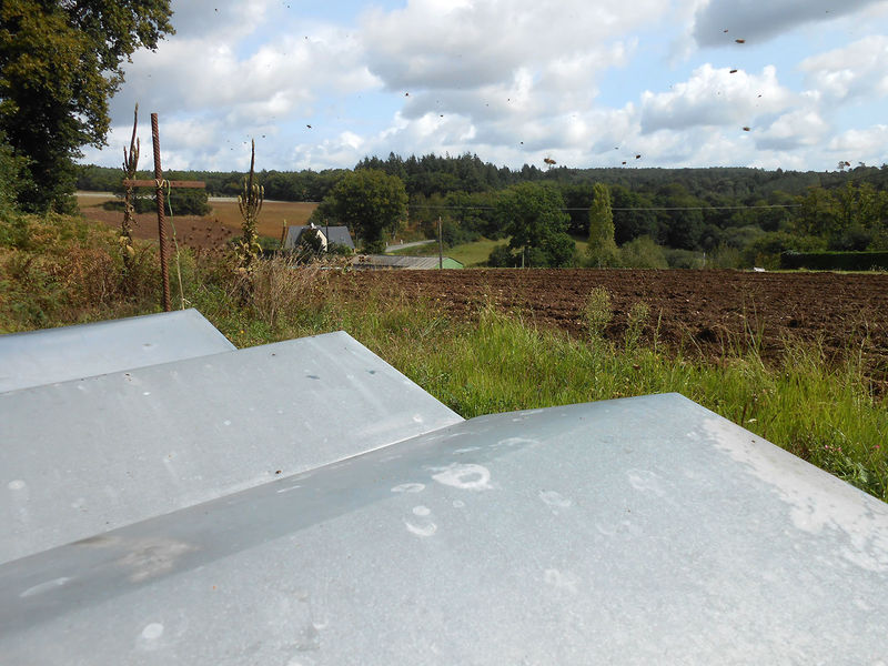 La ruche Fastrade de Franconie