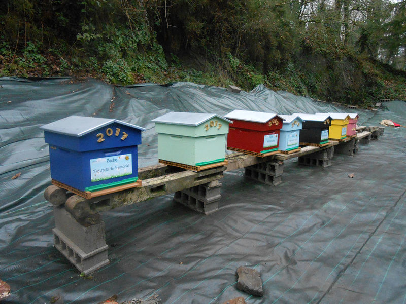 La ruche Fastrade de Franconie
