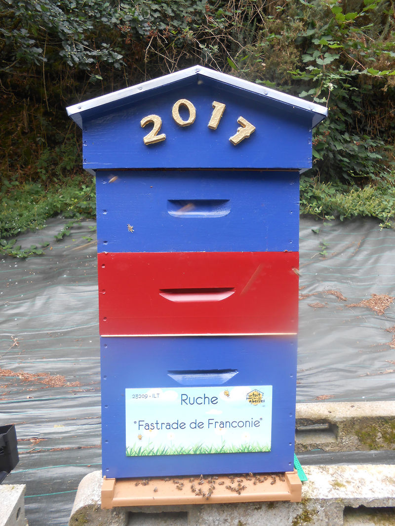 La ruche Fastrade de Franconie