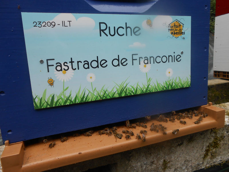 La ruche Fastrade de Franconie