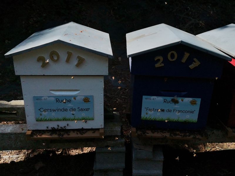 La ruche Fastrade de Franconie