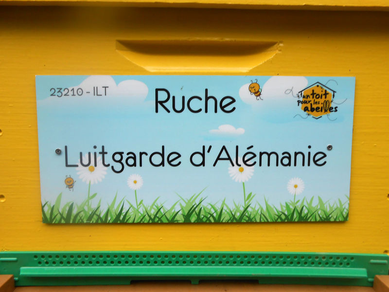 La ruche Luitgarde d