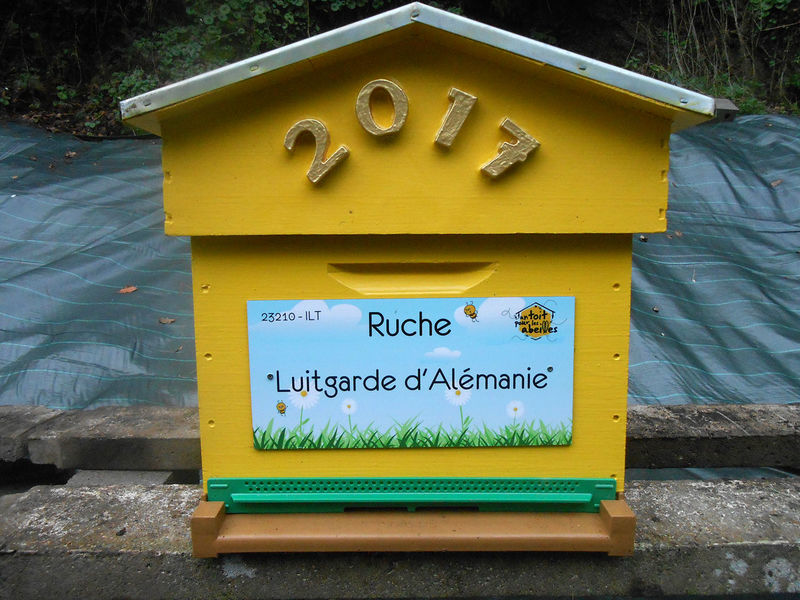 La ruche Luitgarde d