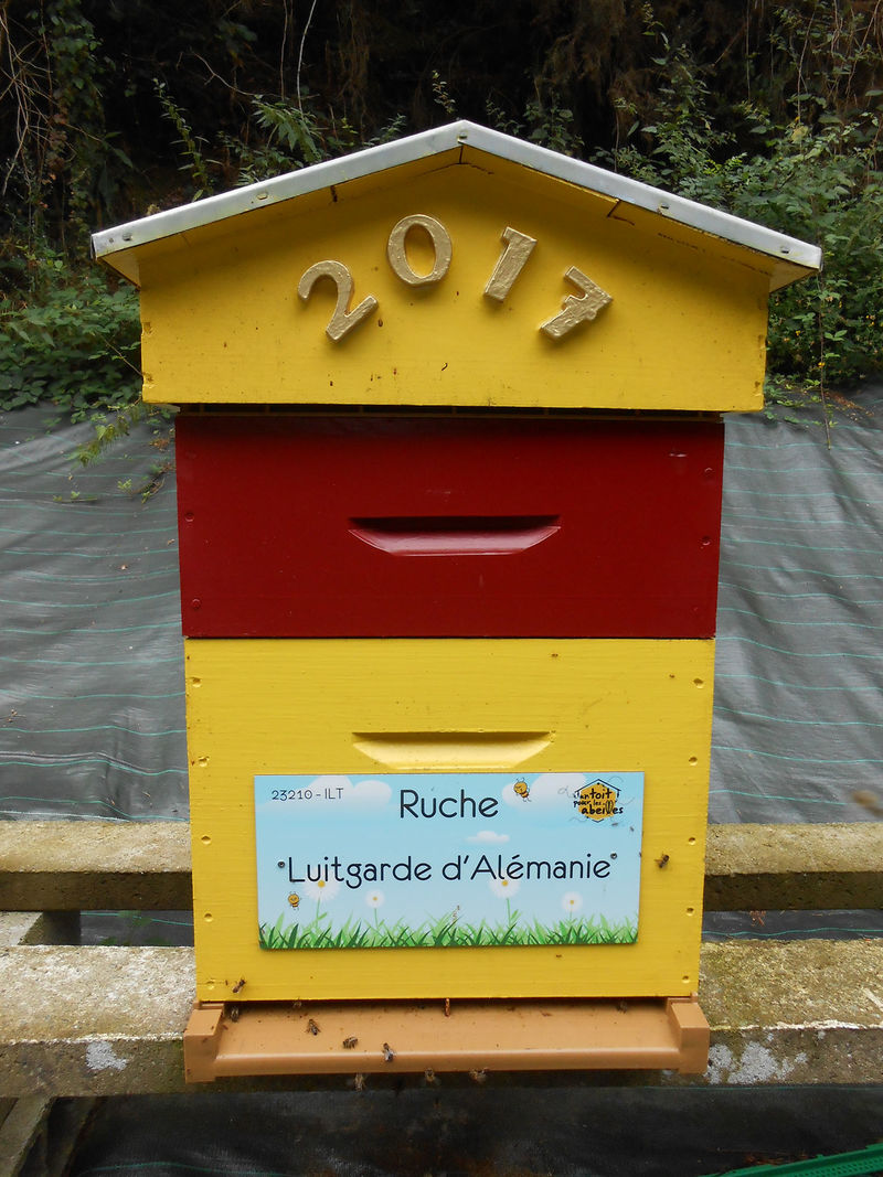 La ruche Luitgarde d