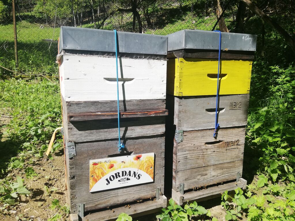 La ruche Jordans dorset ryvita
