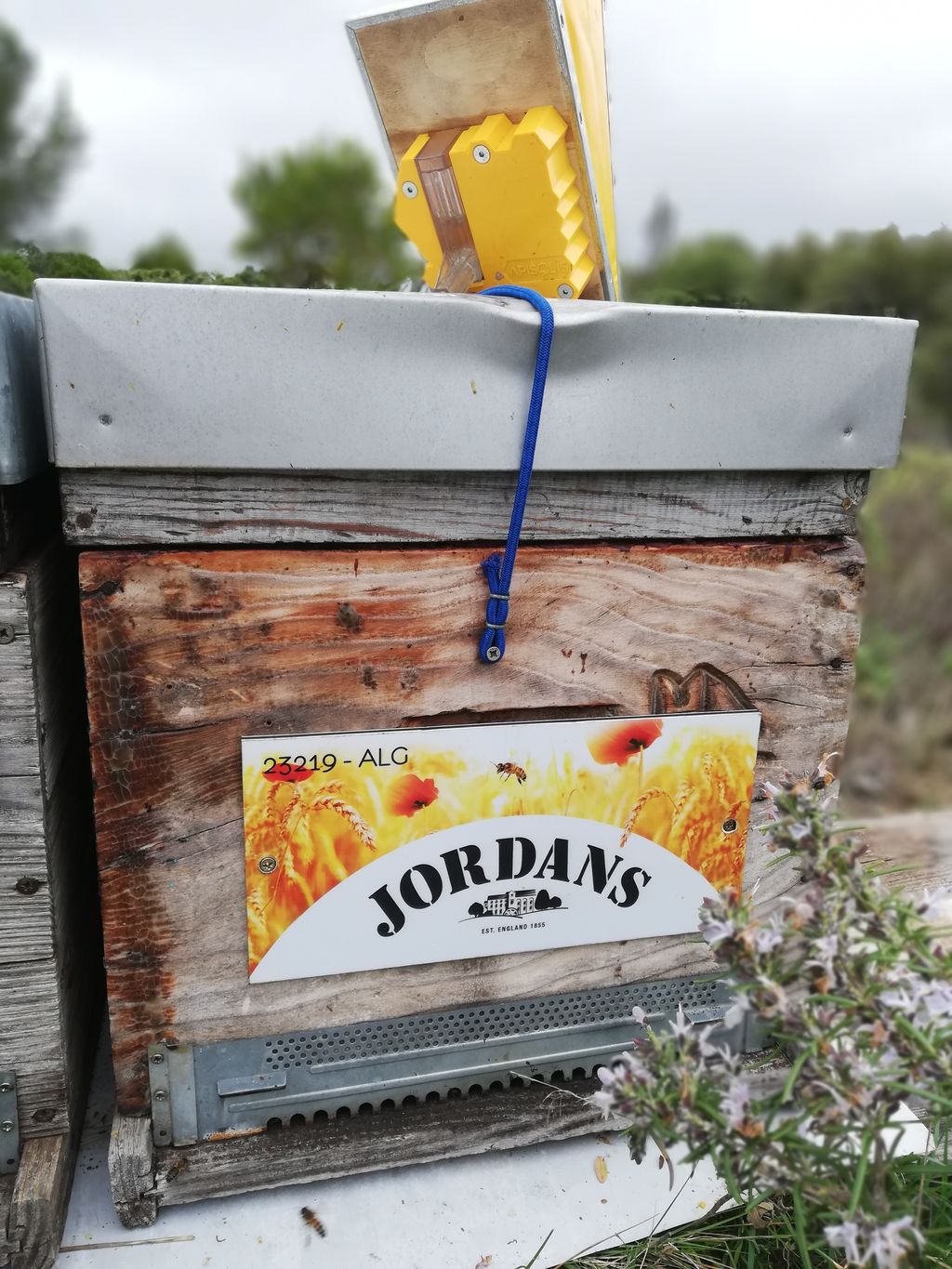 La ruche Jordans dorset ryvita