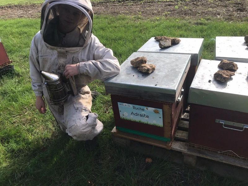 La ruche Adraste