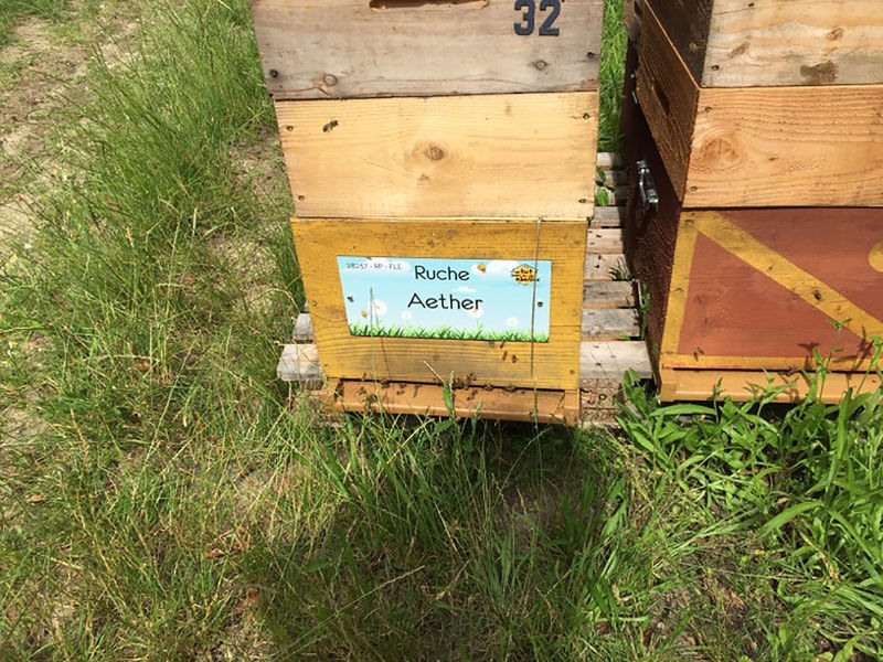 La ruche Aether