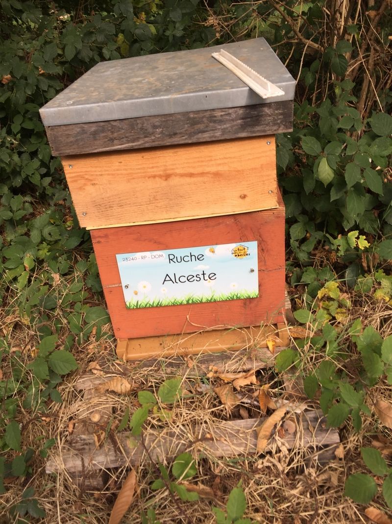 La ruche Alceste