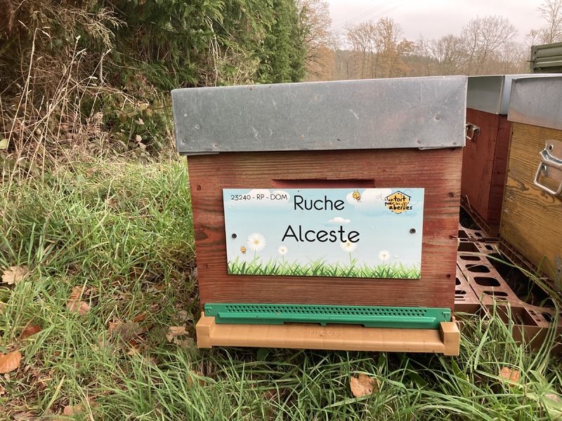 La ruche Alceste
