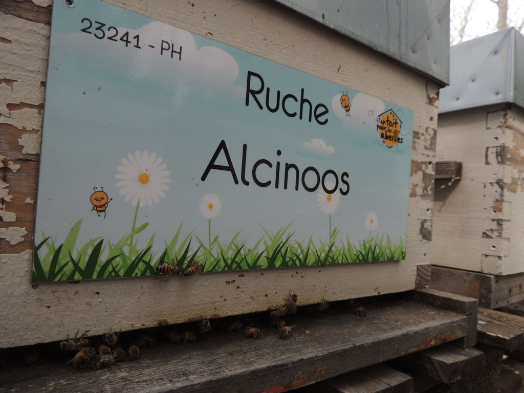 La ruche