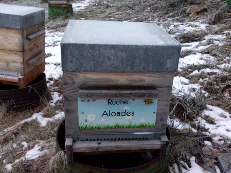 La ruche Aloades