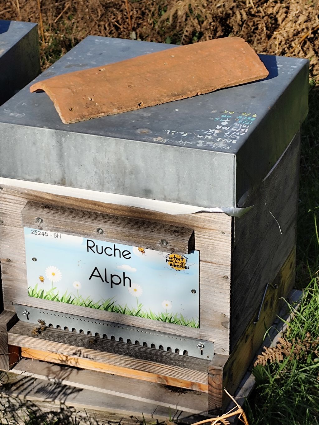 La ruche Alph