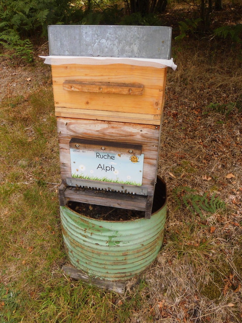La ruche Alph