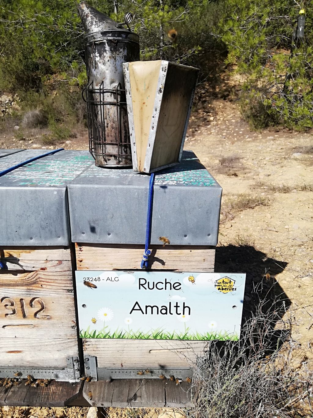 La ruche Amalth