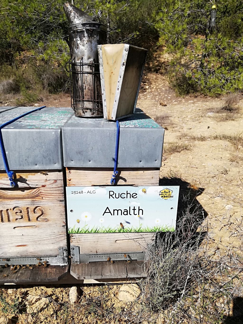 La ruche Amalth