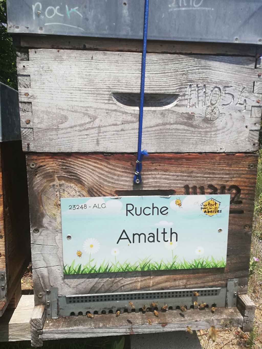 La ruche Amalth