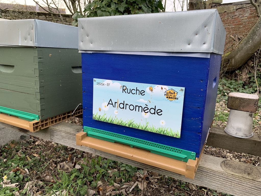 La ruche Andromède