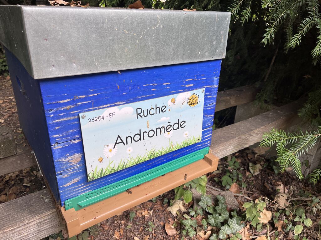 La ruche Andromède