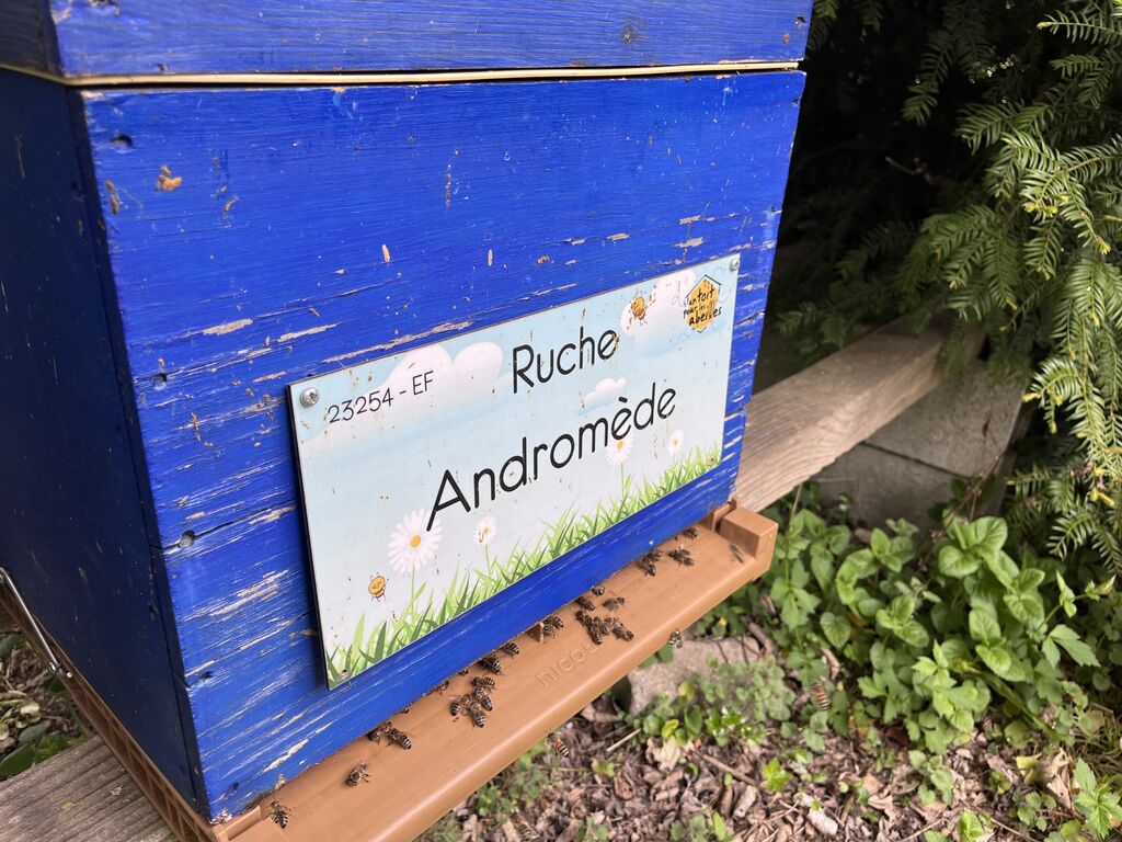 La ruche Andromède