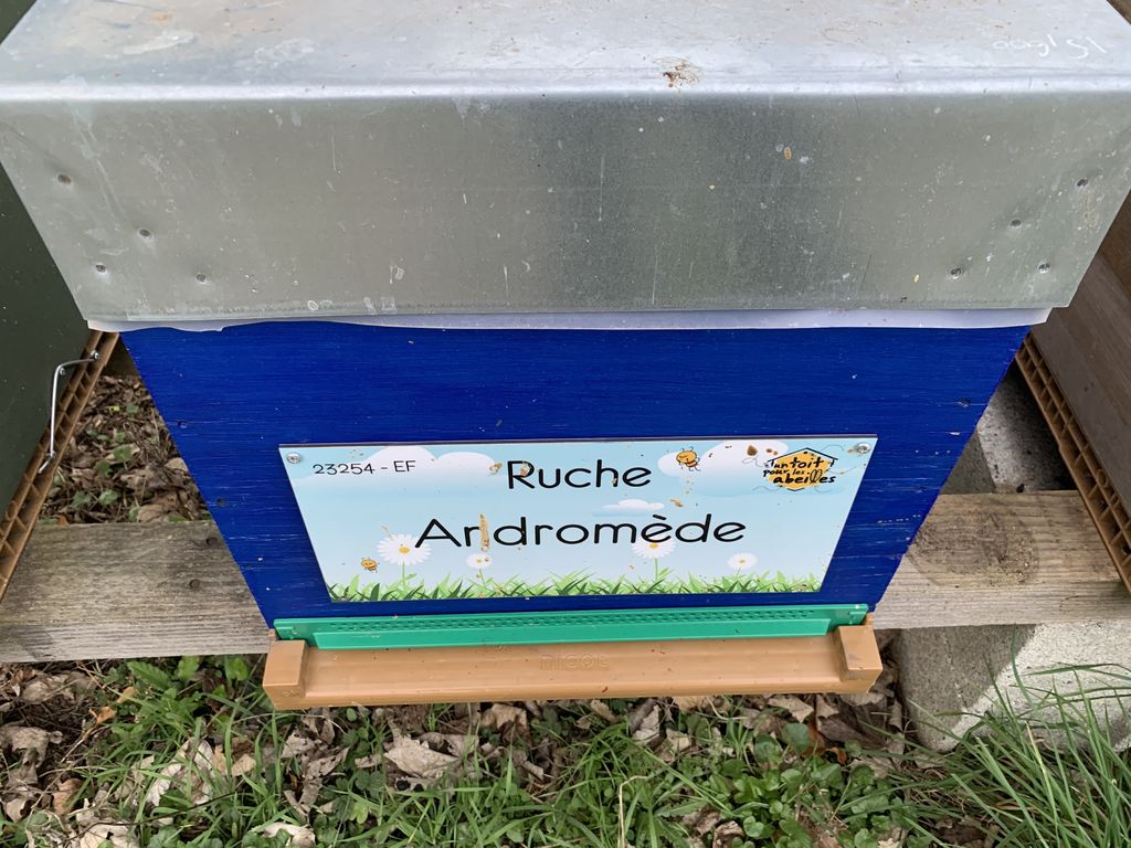 La ruche Andromède