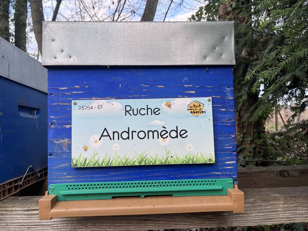 La ruche Andromède