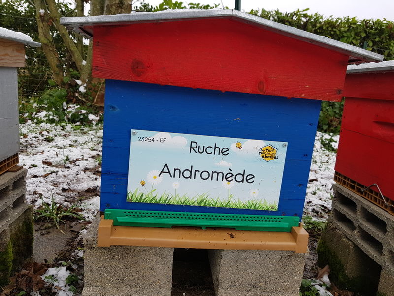 La ruche Andromède