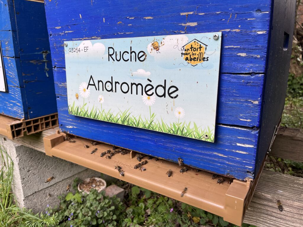 La ruche Andromède