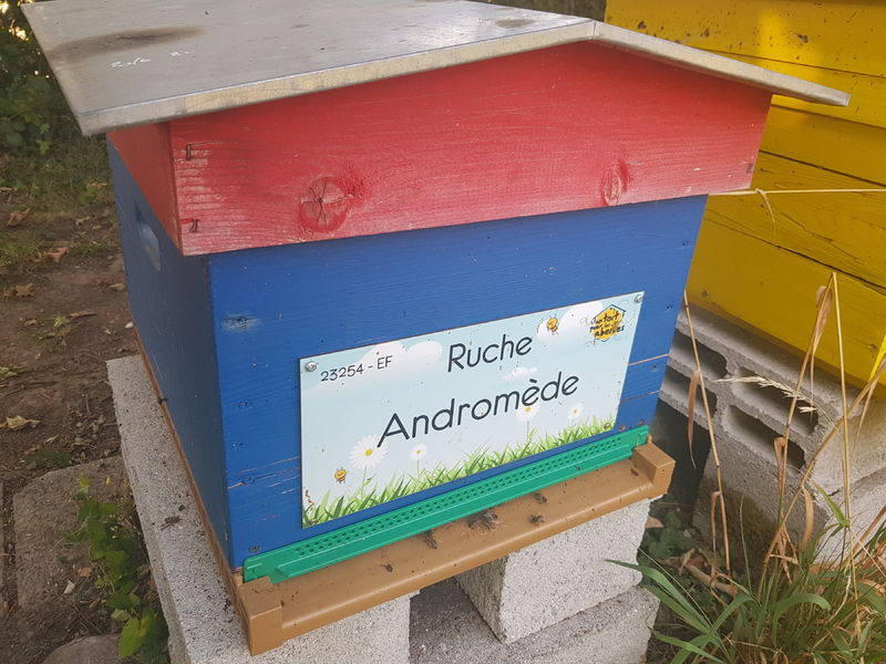 La ruche Andromède
