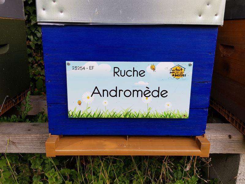La ruche Andromède
