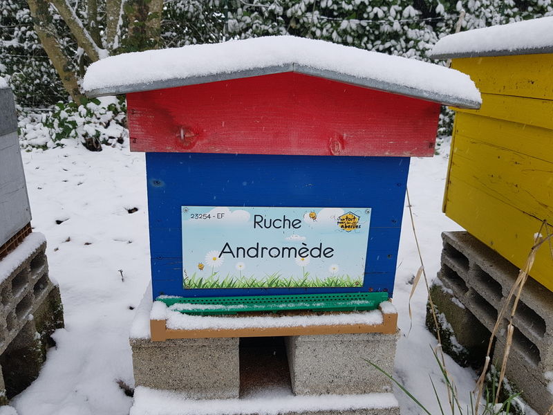 La ruche Andromède