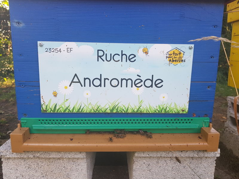 La ruche Andromède