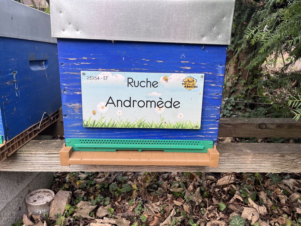 La ruche Andromède