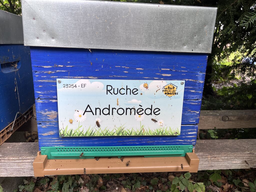 La ruche Andromède