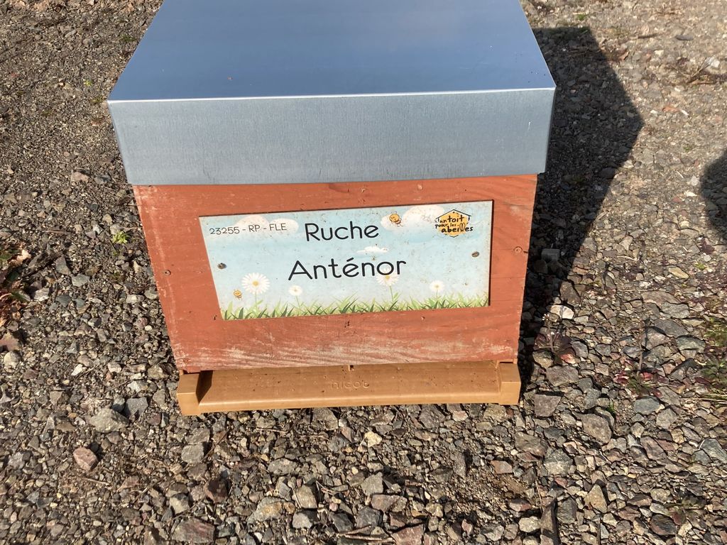 La ruche Anténor