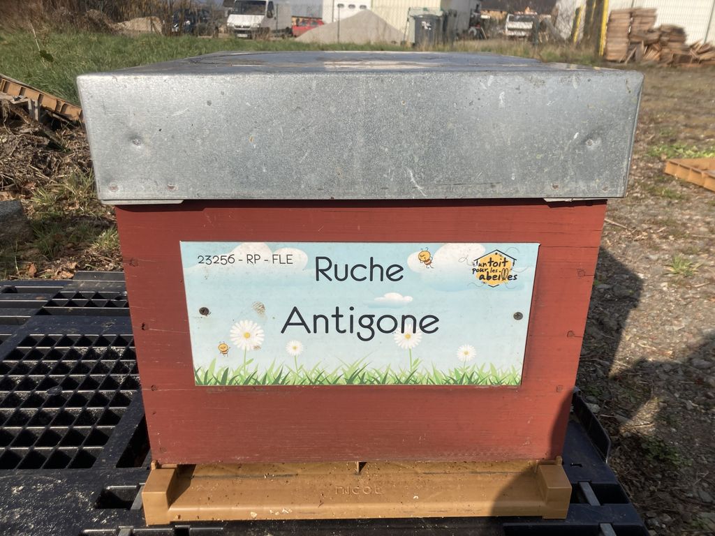 La ruche Antigone