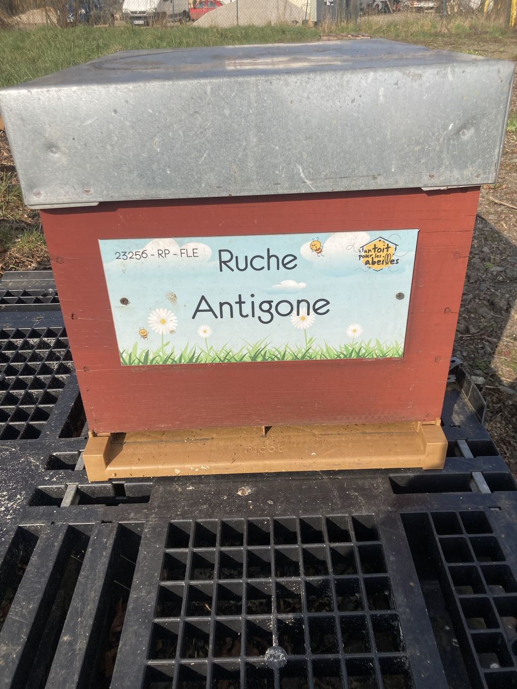 La ruche Antigone
