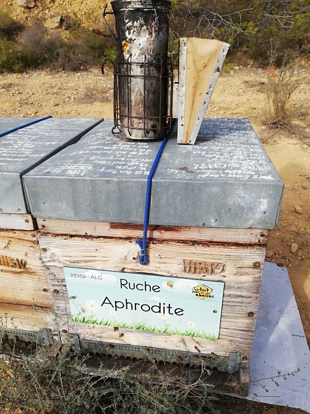 La ruche Aphrodite