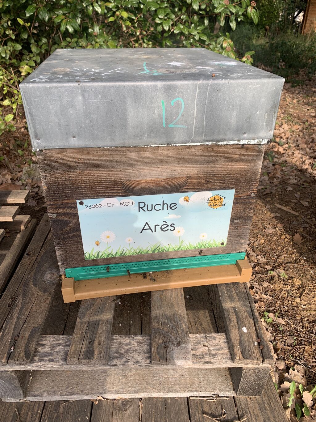 La ruche Arès