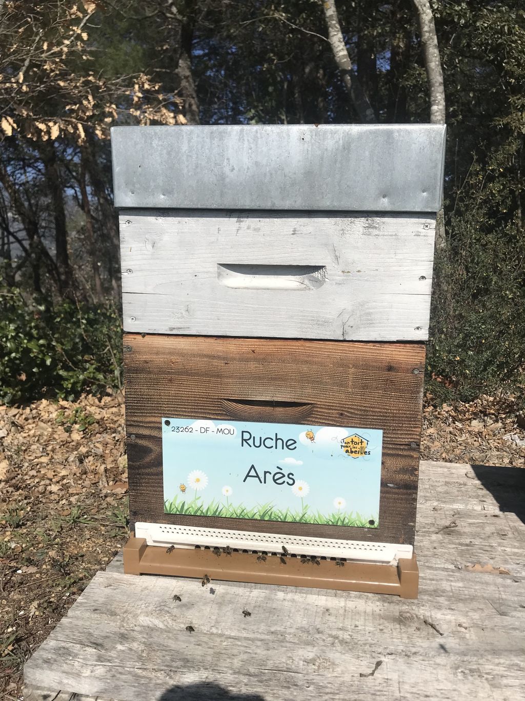 La ruche Arès