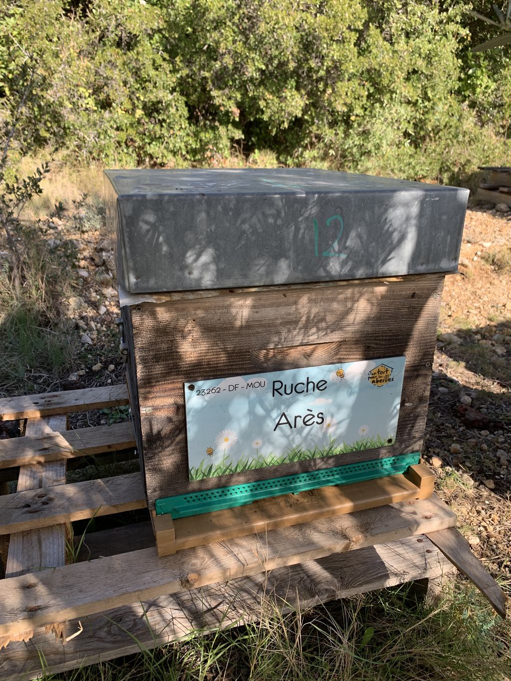 La ruche Arès